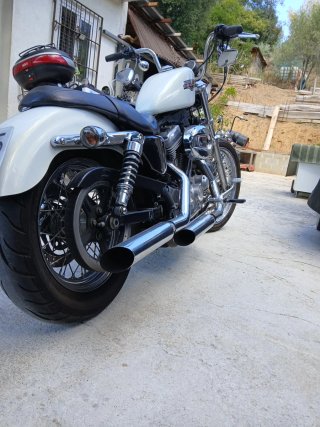 Harley-Davidson Sportster 883 XL LOW