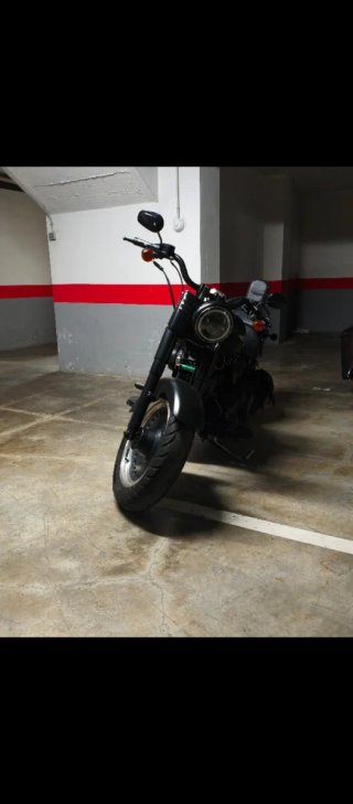 Harley-Davidson Fat Boy Especial Negra