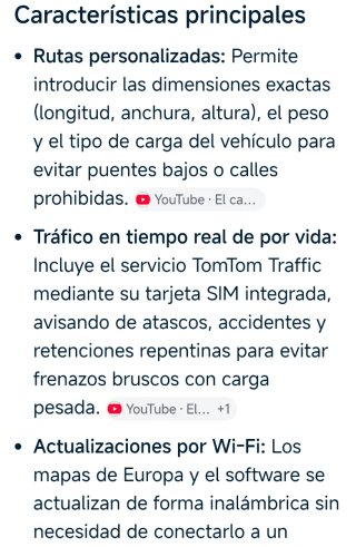 GPS TomTom Profesional