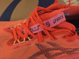 Asics Novablast 5 T44 Naranja