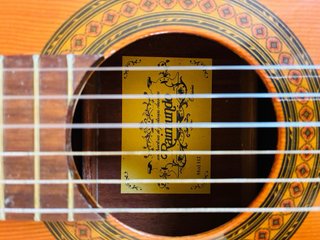 Guitarra Española Raimundo 112