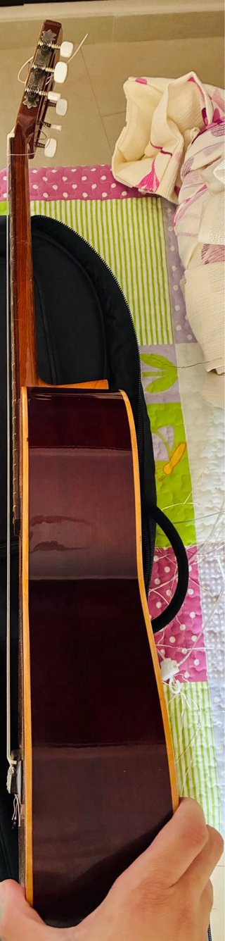 Guitarra Española Raimundo 112