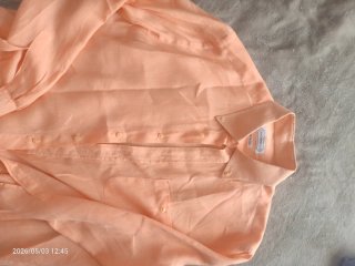 Lote 7 Camisas y polos varios