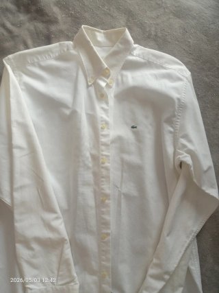 Lote 7 Camisas y polos varios
