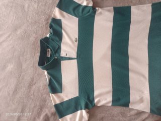 Lote 7 Camisas y polos varios