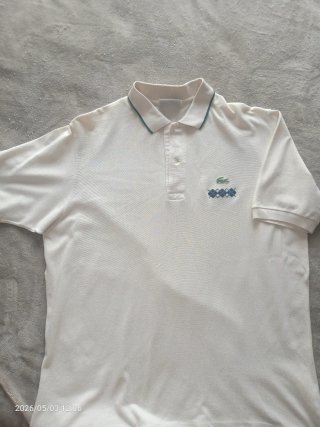 Lote 7 Camisas y polos varios