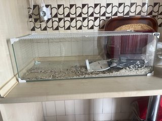 Acuario Tortuga/Reptiles
