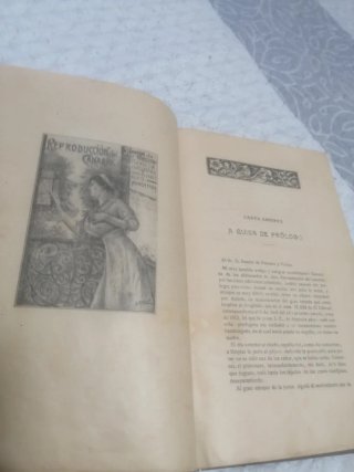 EL CANARIO