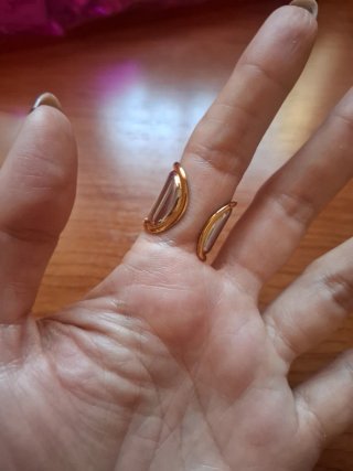 Anillo Acero Bicolor