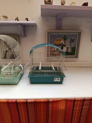 2 Jaulas para pájaros