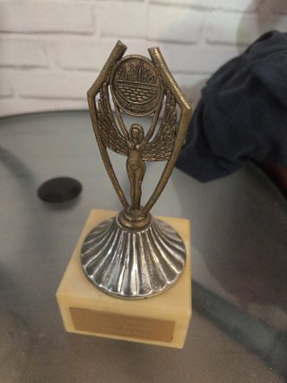 Trofeos de plata y bronce