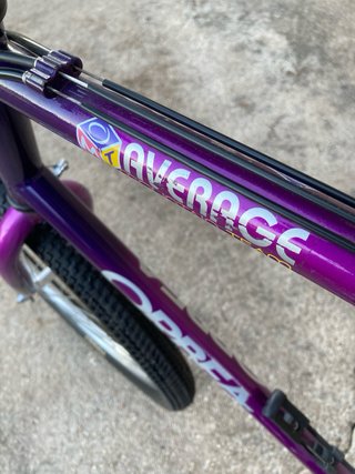 Orbea Vintage Average