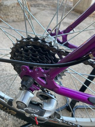 Orbea Vintage Average