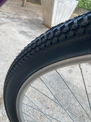 Orbea Vintage Average