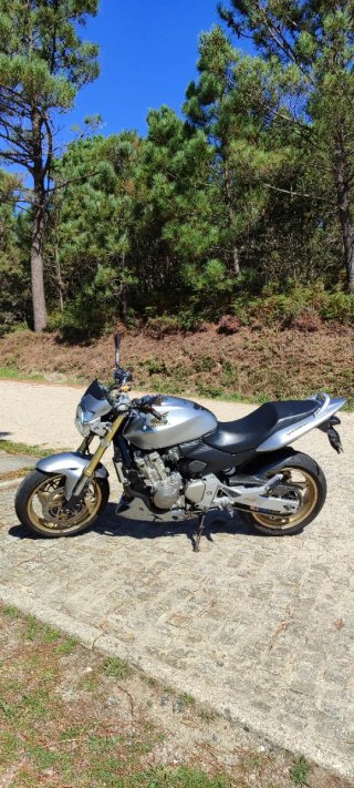 Honda CB600F Hornet Plata/Oro