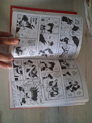 Dragonball edición definitiva