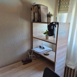 Escritorio con estanterías