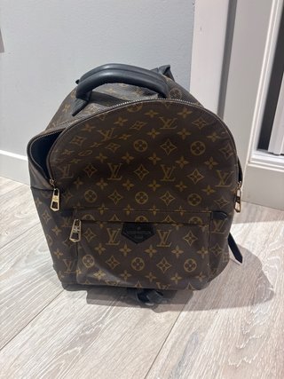 Mochila Louis Vuitton Palm Springs Monograma