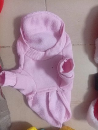 Ropa para mascotas: fresa, Santa, Honey