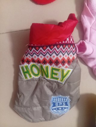 Ropa para mascotas: fresa, Santa, Honey