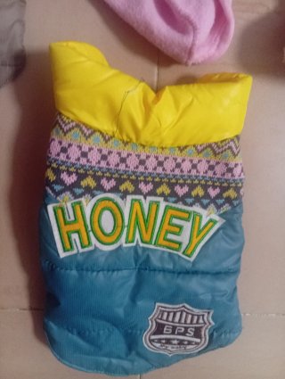 Ropa para mascotas: fresa, Santa, Honey