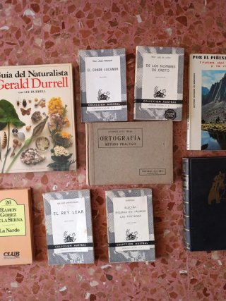 Lote libros