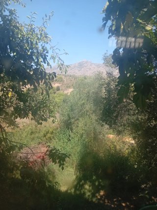 Tierra de jardín