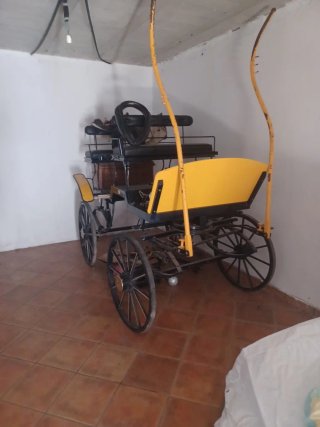 Carro grande para caballos