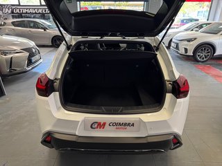 Lexus UX 300h F Sport 146 kW (199 CV)