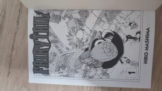 FAIRY TAIL 01