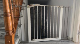 Valla de seguridad para escaleras