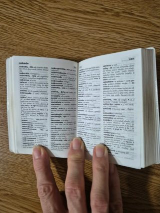 Diccionario inglés -