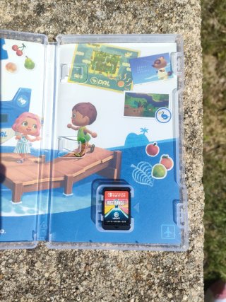 Animal Crossing New Horizons Nintendo Switch