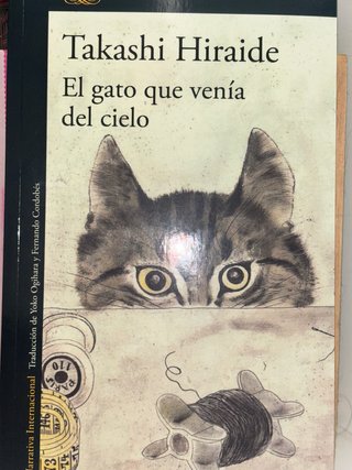 El gato que venía del cielo