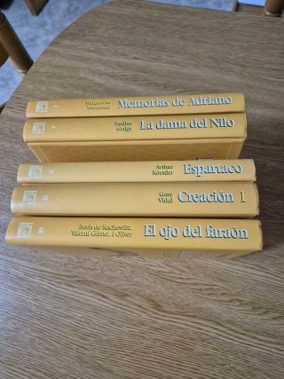 Lote novela historica de salvat