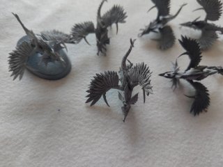 Raptoryx (Warhammer Age of Sigmar)