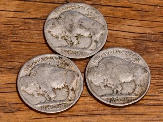 Lote 3 Monedas 5 Centavos USA Búfalo