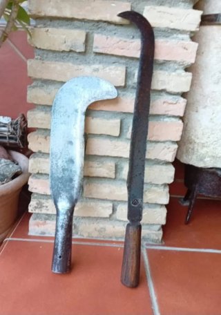 Lote Alberto