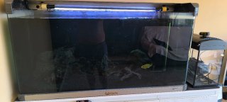ACUARIO COMPLETO.