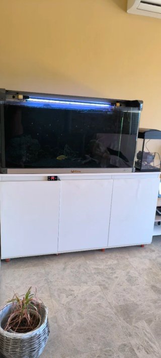 ACUARIO COMPLETO.