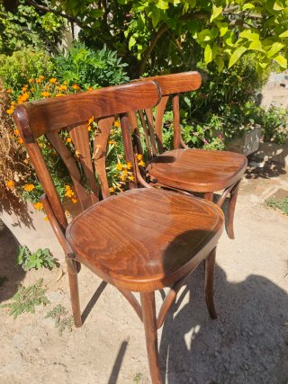 Sedia in legno stile Thonet