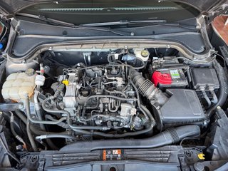 Ford Focus 1.0 EcoBoost 125 CV ST-Line 2023