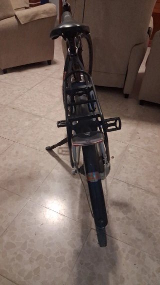 Bicicleta Urbana Gazelle Lite Talla 85cm