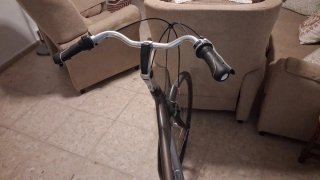 Bicicleta Urbana Gazelle Lite Talla 85cm
