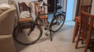 Bicicleta Urbana Gazelle Lite Talla 85cm