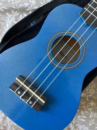 Ukelele azul con funda