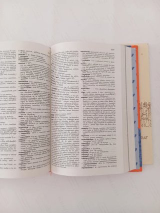 Diccionari il.lustrat llatí llatí-català català...