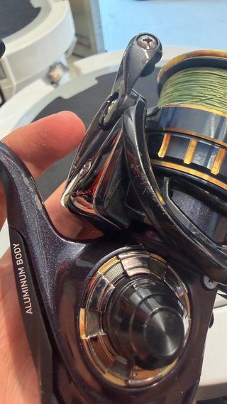 Daiwa BG BL 6000D-H Carrete Pesca