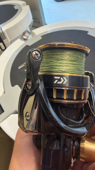 Daiwa BG BL 6000D-H Carrete Pesca