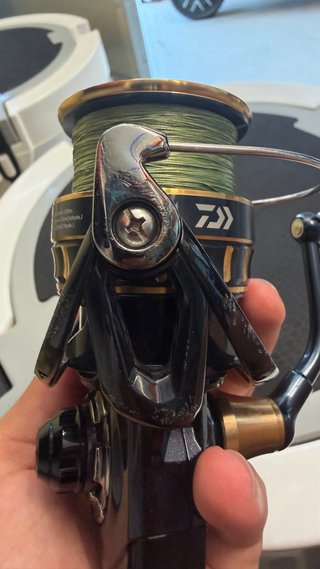 Daiwa BG BL 6000D-H Carrete Pesca